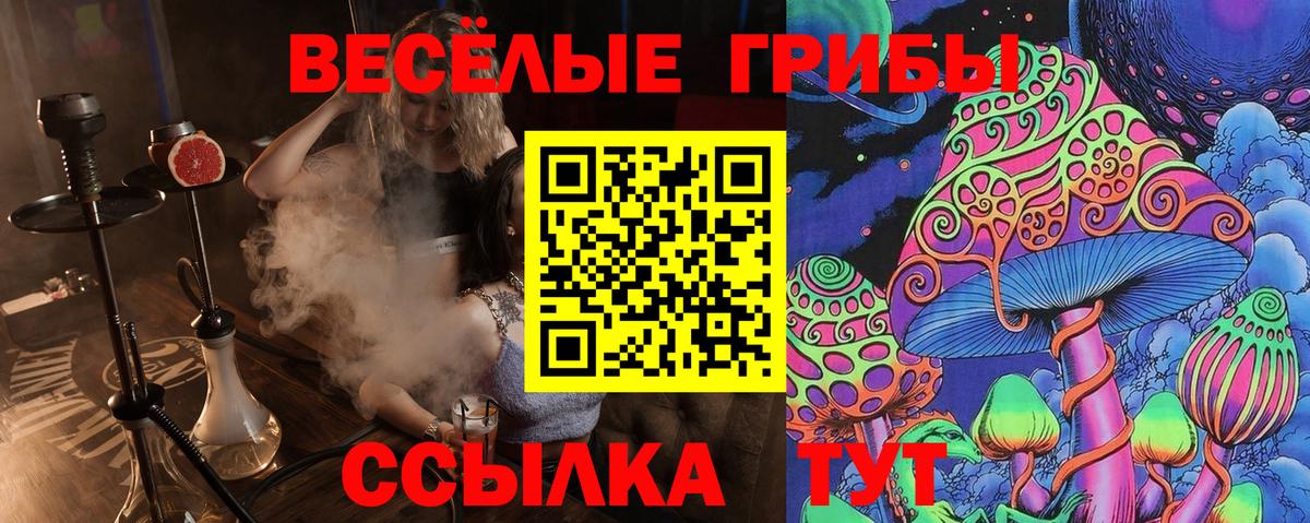 Жигулёвск  Псилоцибиновые грибы прущие грибы  Вход с VPN  Псилоцибиновые грибы Psilocybe 